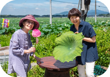 私たちの愛の詰まったれんこんや蓮の葉茶が皆様の日々の健康づくりのお役に立てますよう心から願っています。